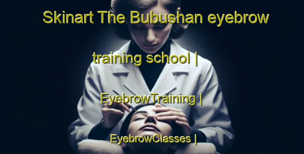 Skinart The Bubushan eyebrow training school | EyebrowTraining | EyebrowClasses | SkinartTraining-China
